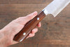 Takeshi Saji SRS13 Hammered(Maru) Kiritsuke Sujihiki 270mm Ironwood Handle - Seisuke Knife - Slide 6