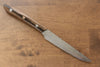 Takeshi Saji SG2 Diamond Finish Steak 125mm Black Persimmon Handle - Seisuke Knife - Slide 1