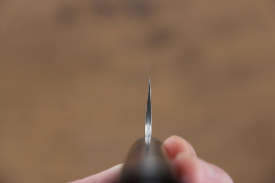 Takeshi Saji Blue Steel No.2 Colored Damascus Sujihiki 240mm Ironwood Handle - Seisuke Knife