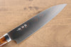 Takeshi Saji Blue Steel No.2 Colored Damascus Gyuto 210mm Ironwood Handle - Seisuke Knife