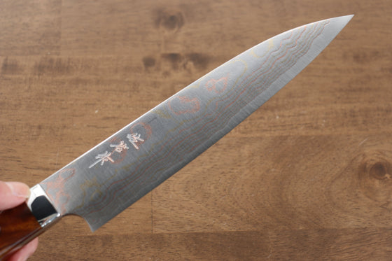 Takeshi Saji Blue Steel No.2 Colored Damascus Gyuto 210mm Ironwood Handle - Seisuke Knife