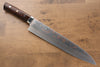 Takeshi Saji Blue Steel No.2 Colored Damascus Gyuto 270mm Ironwood Handle - Seisuke Knife