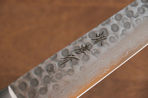 Sakai Takayuki VG10 17 Layer Damascus Sujihiki 240mm Green Pakka wood Handle - Seisuke Knife