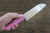 Sakai Takayuki Molybdenum Kitchen Knife for Kids (Pink) - Seisuke Knife