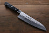 Sakai Takayuki Blue Steel Hammered 3 Layer Santoku 180mm - Seisuke Knife - Slide 1