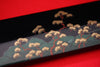 Takeshi Saji Knife VG10 Yanagiba 270mm with Makie Art - Torii - Seisuke Knife - Slide 5